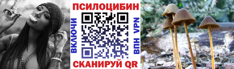 Купить где  Камызяк  Галлюциногенные грибы прущие грибы 